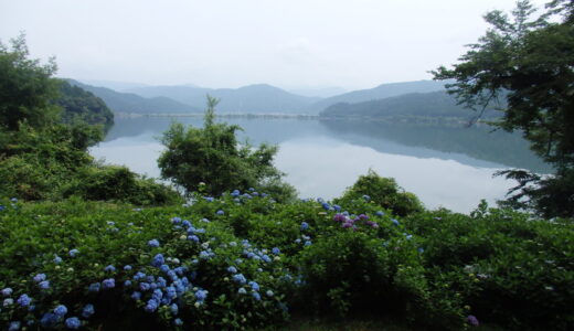 琵琶湖のパワースポットでエネルギーチャージ🍹余呉湖のあじさい散歩道があなたを待っていますよ❀