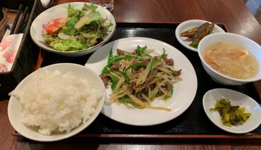 【彦根市】絶対食べておきたい中華料理店🐲｢龍鱗｣で食べなきゃ損してますよ！想像以上の美味しさです😋